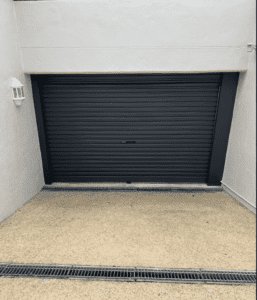 Garage Door Painting